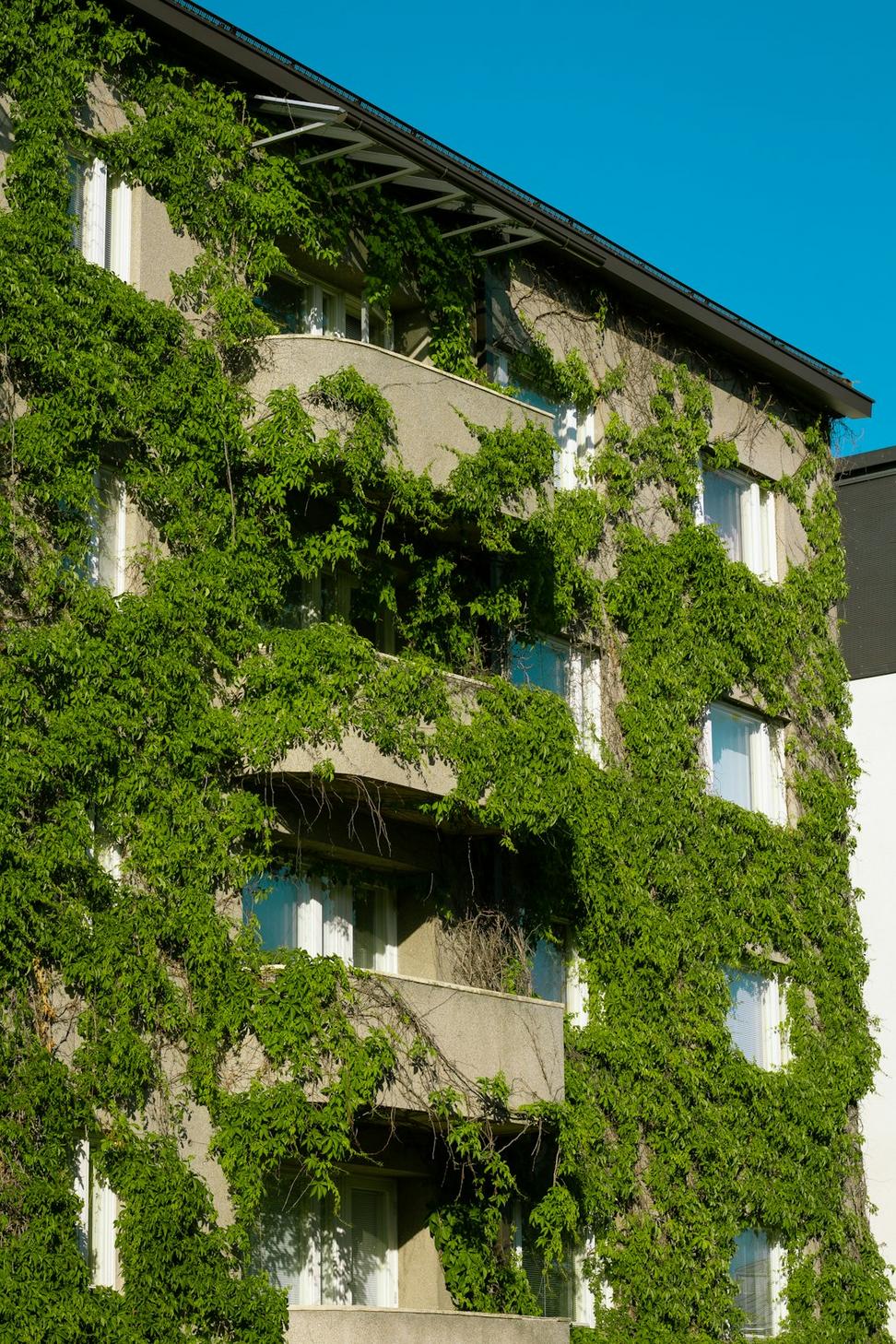 Verdant Living Residences