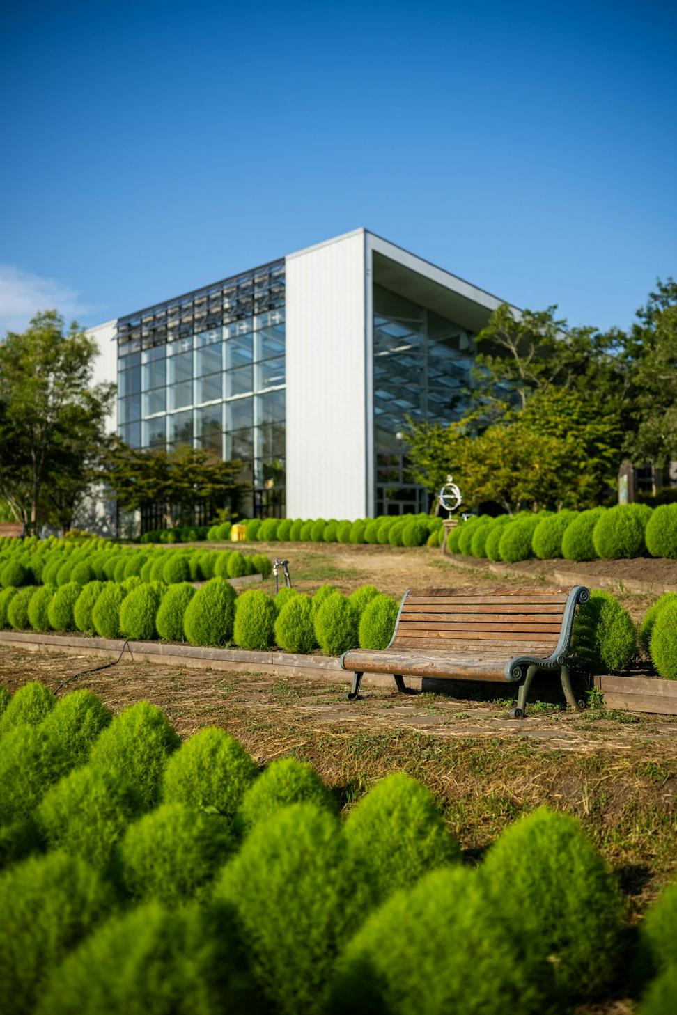 EcoTech Innovation Hub